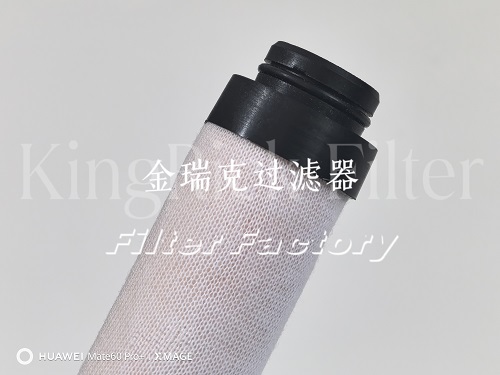 CCV55248-10滤芯SAO6232燃油预过滤普优滤器