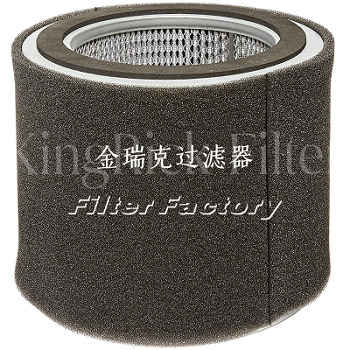 Solberg滤芯19P索尔伯格244P碳氢化合物滤芯普优滤器