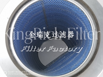 1646959-1AAF滤芯滤筒1565761001普优滤器