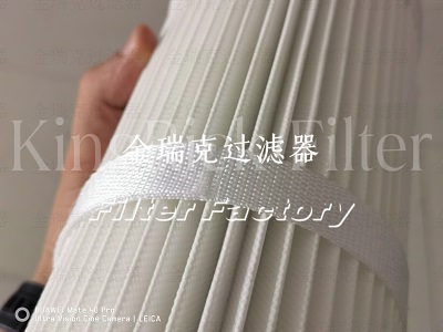 2625173滤芯滤筒2625176E普优滤器