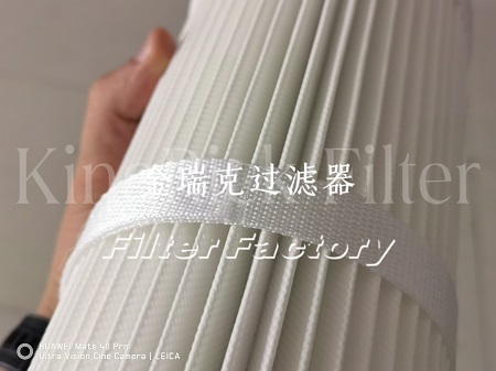 2627126E滤芯滤筒2626924E普优滤器